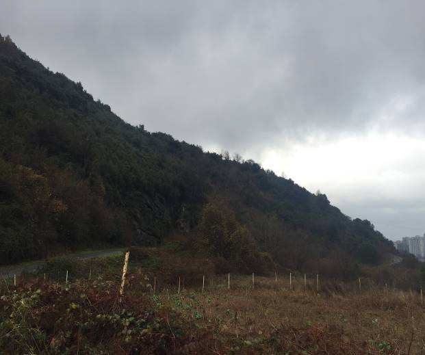 Zonguldak Ereğli Satılık Arsa Albaraka Gayrimenkul