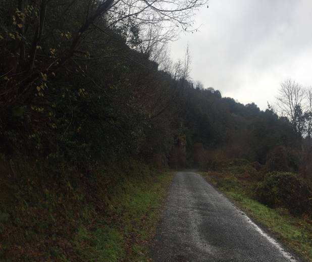 Zonguldak Ereğli Satılık Arsa Albaraka Gayrimenkul