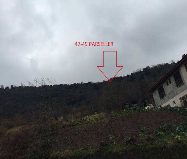 Zonguldak Ereğli Satılık Arsa Albaraka Gayrimenkul